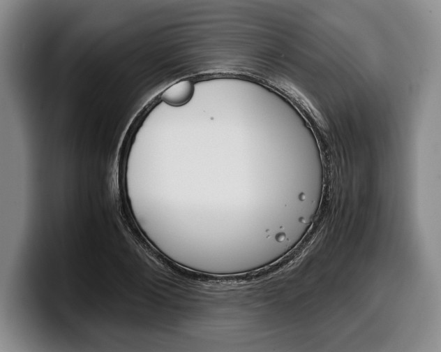 X0000100340884200806051222