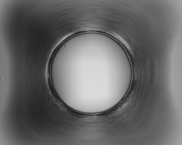 X0000100340885200806051222