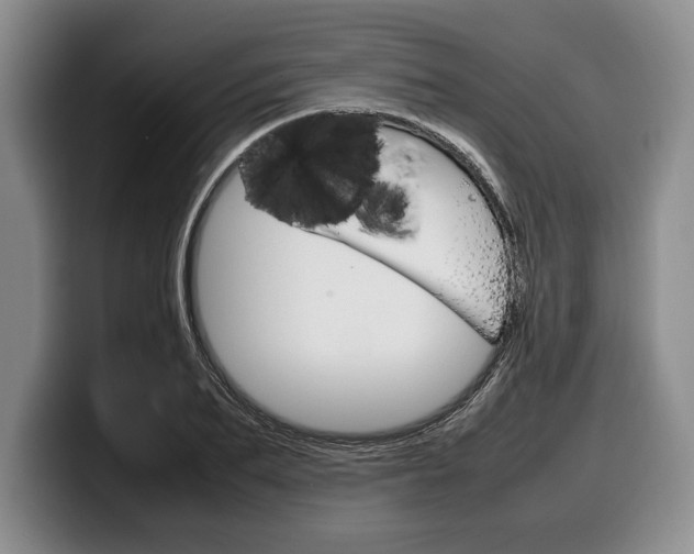 X0000100340887200806051222