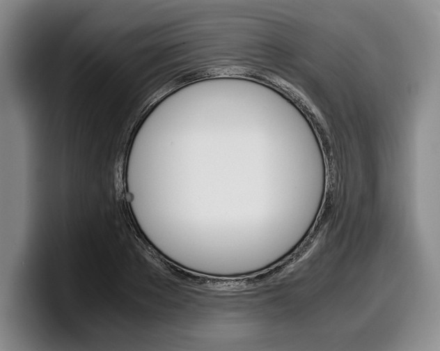 X0000100340889200806051222