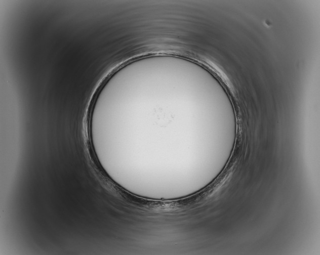 X0000100340891200806051222
