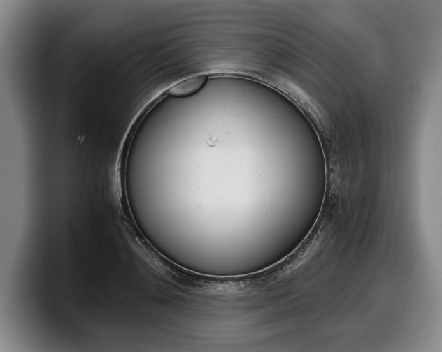 X0000100340892200806051222