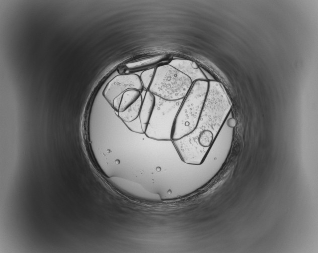 X0000100340893200806051222