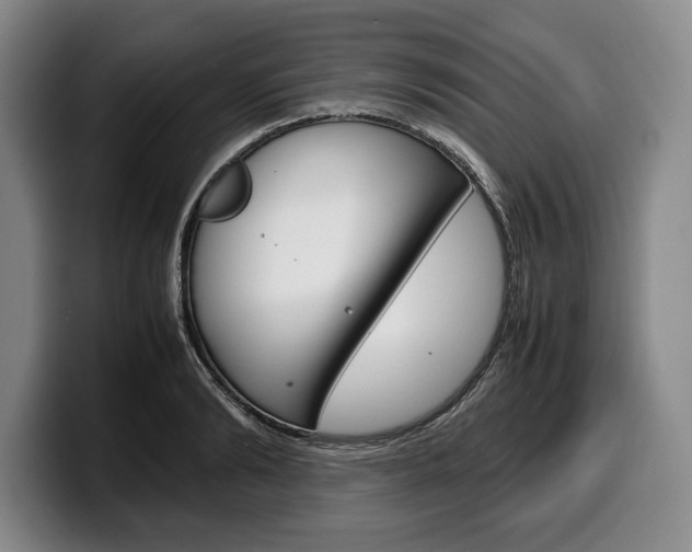X0000100340894200806051222