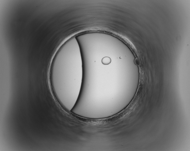 X0000100340895200806051222