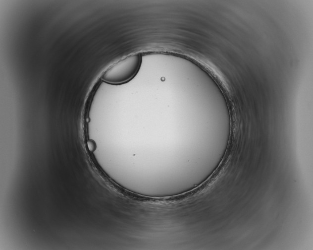 X0000100340896200806051222
