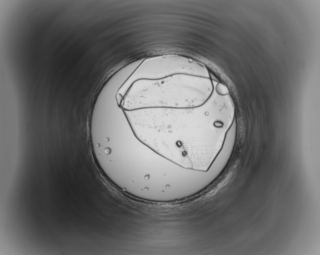 X0000100340897200806051222
