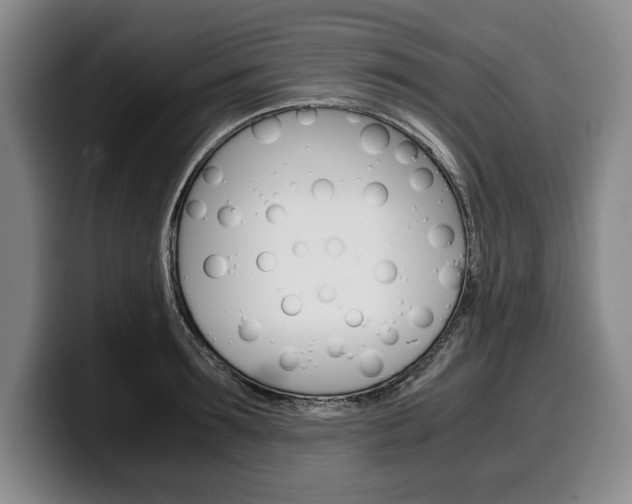 X0000100340899200806051222