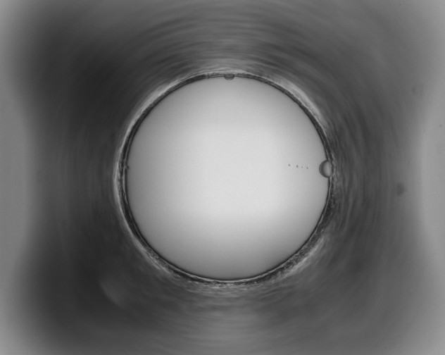 X0000100340901200806051222