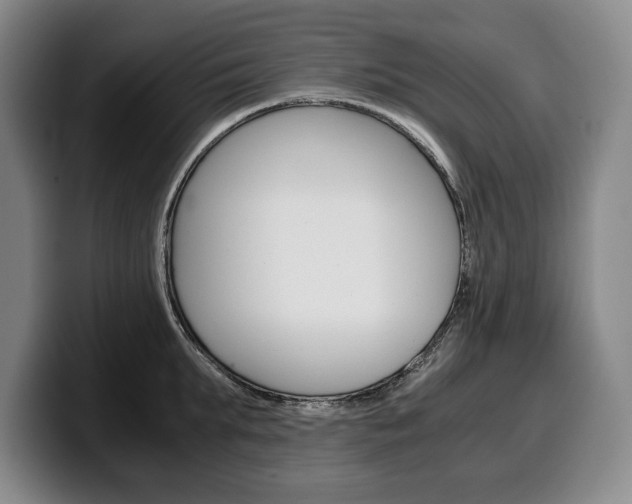X0000100340903200806051222