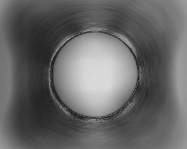 X0000100340906200806051222
