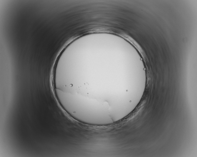 X0000100340909200806051222