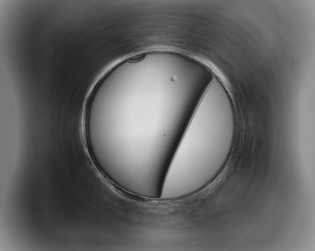 X0000100340910200806051222