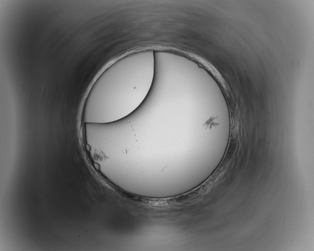 X0000100340911200806051222