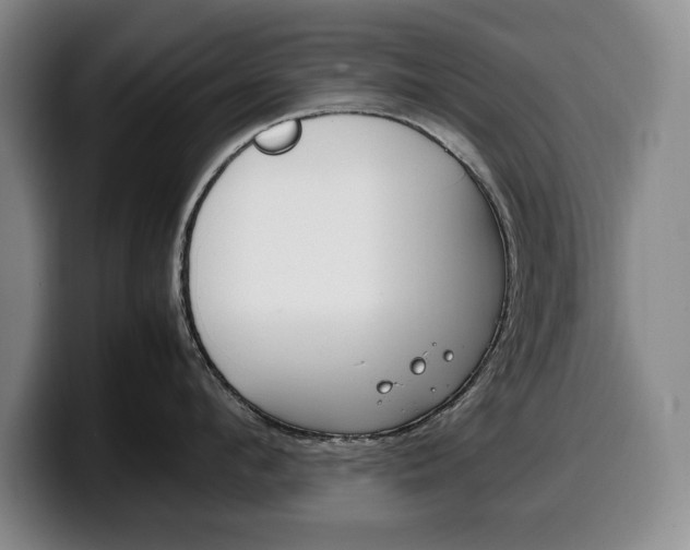X0000100340912200806051222