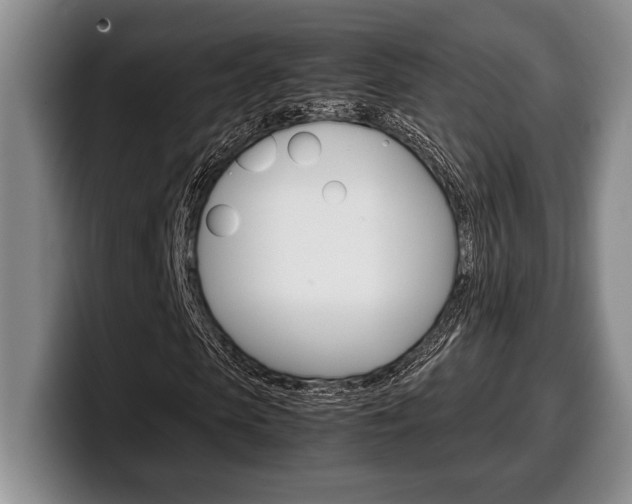 X0000100340913200806051221