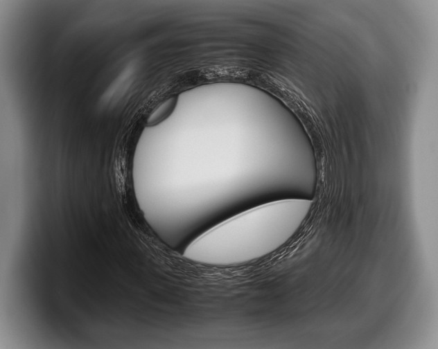 X0000100340915200806051221