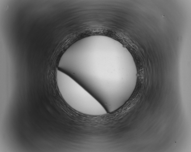 X0000100340916200806051221