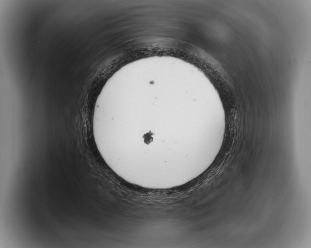 X0000100340918200806051221