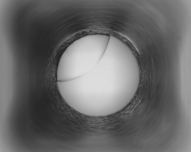 X0000100340919200806051221
