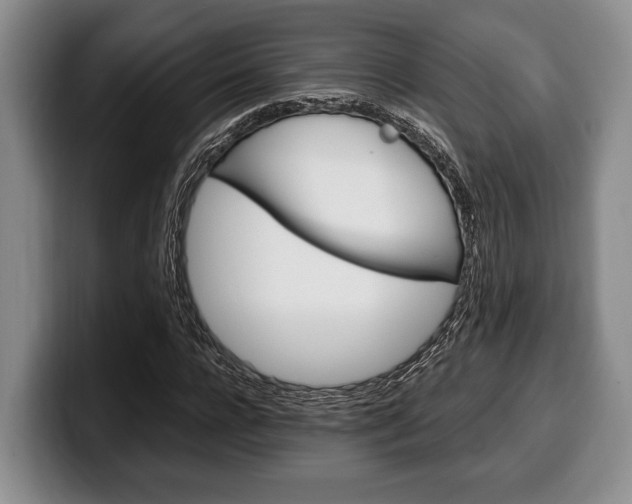 X0000100340920200806051221