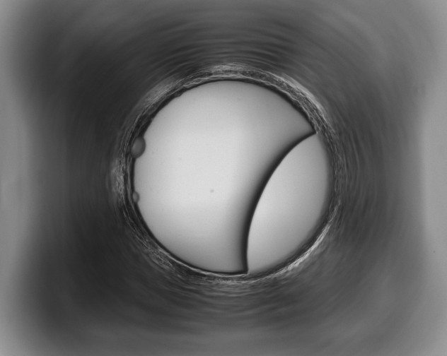 X0000100340921200806051221