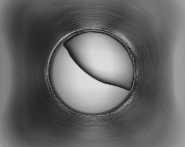 X0000100340924200806051222