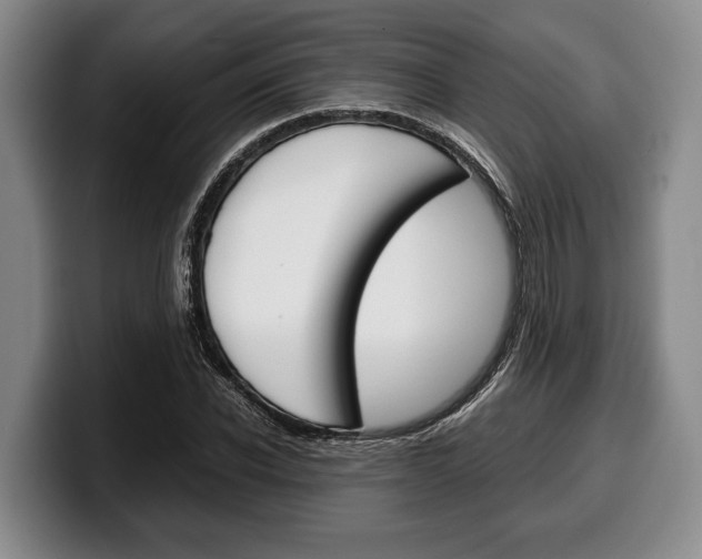 X0000100340926200806051222