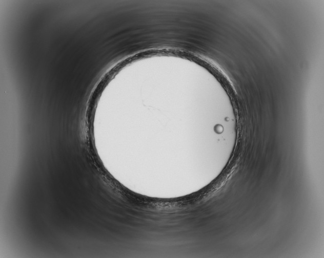X0000100340927200806051222