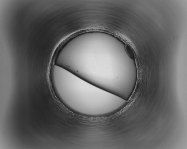 X0000100340928200806051222