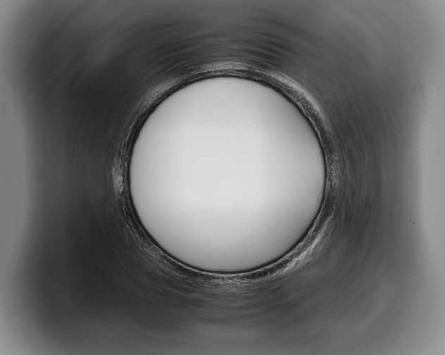 X0000100340929200806051222