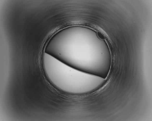 X0000100340930200806051222
