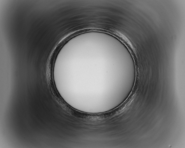 X0000100340931200806051222