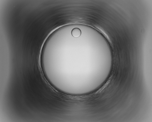 X0000100340932200806051222