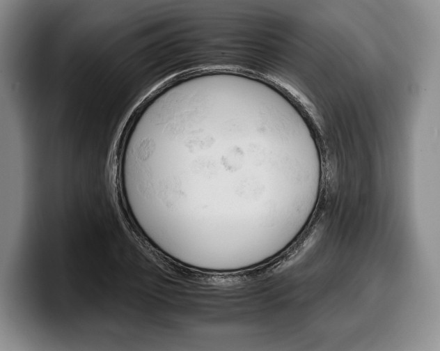 X0000100340933200806051222