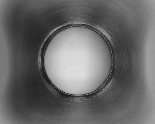X0000100340934200806051222