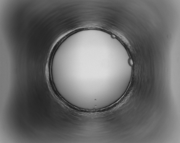 X0000100340936200806051222