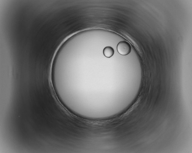 X0000100340940200806051222