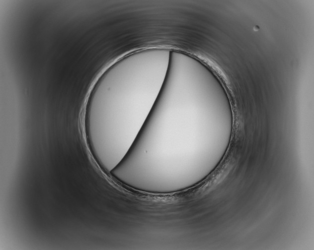 X0000100340941200806051222