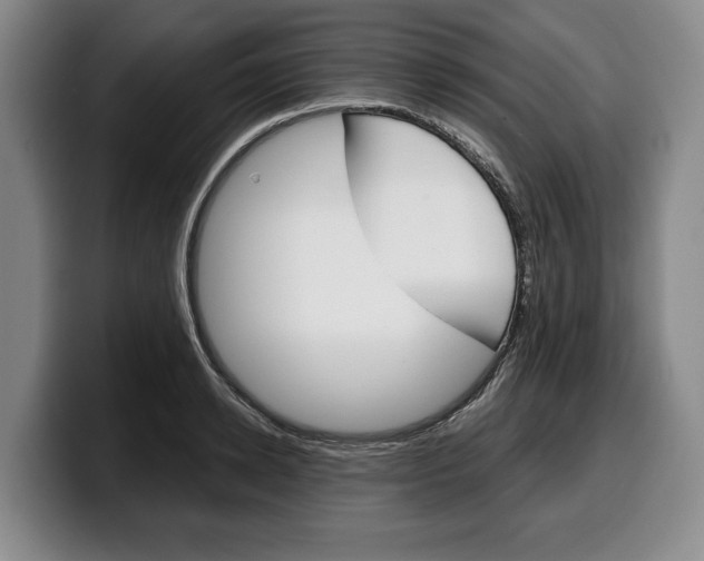 X0000100340942200806051222