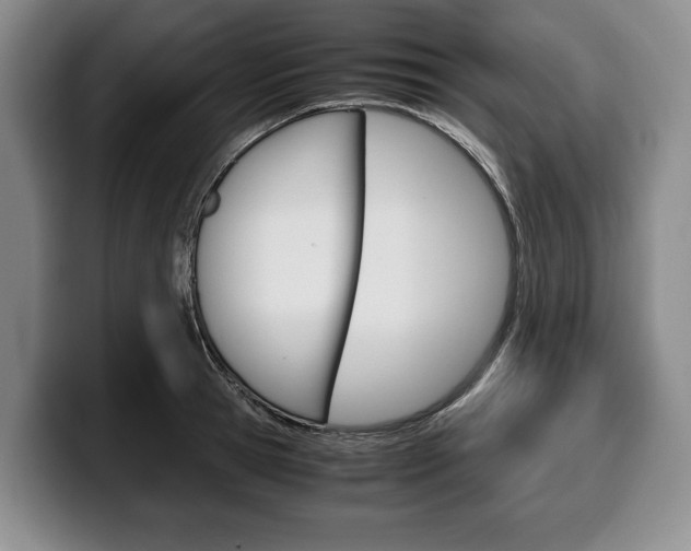X0000100340945200806051222