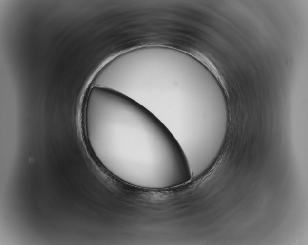X0000100340947200806051222