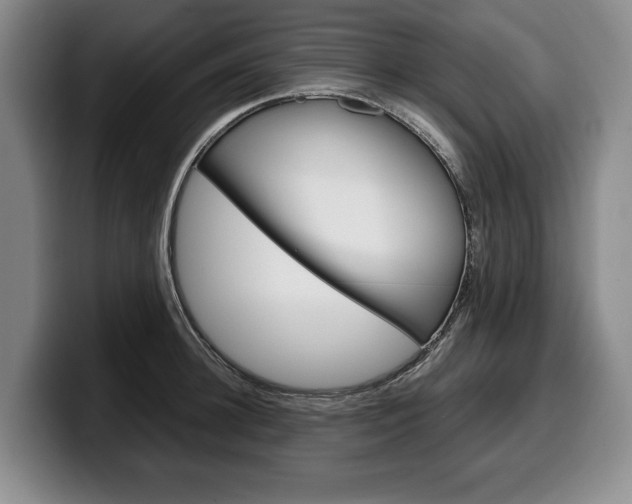 X0000100340948200806051222