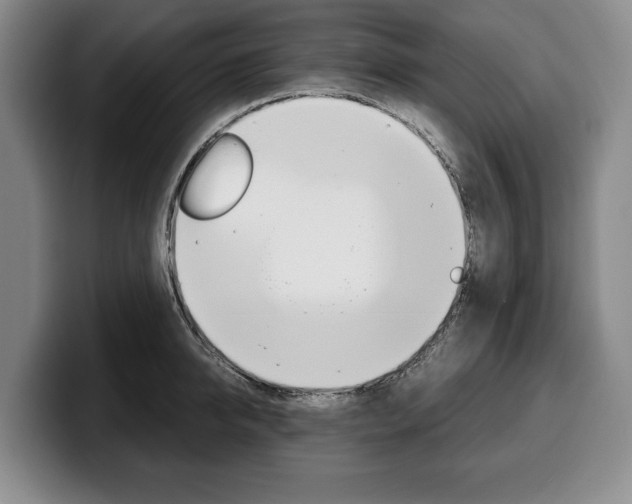 X0000100340950200806051222