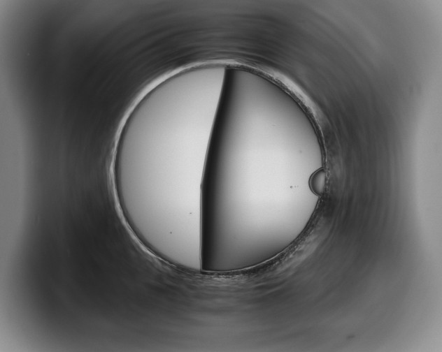 X0000100340951200806051222