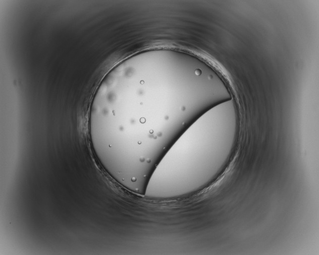 X0000100340953200806051222