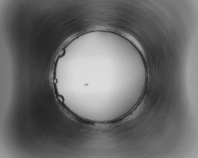X0000100340954200806051222