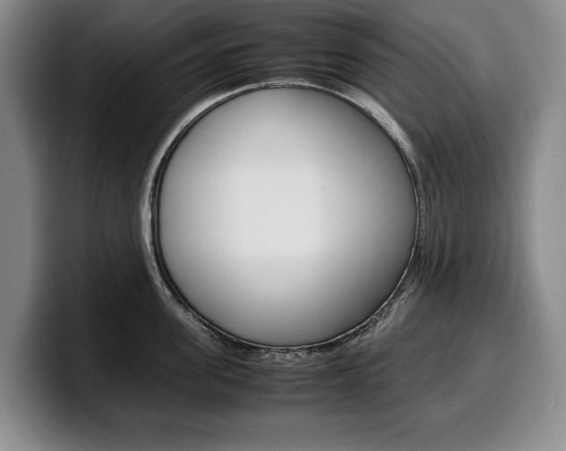 X0000100340955200806051222