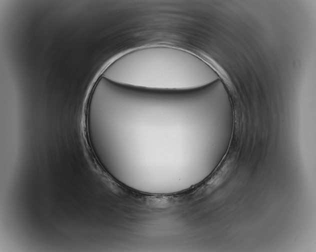 X0000100340956200806051222