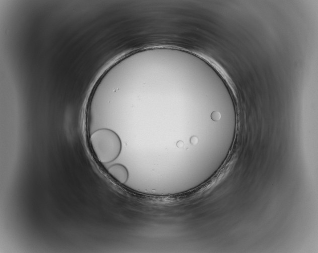 X0000100340957200806051222